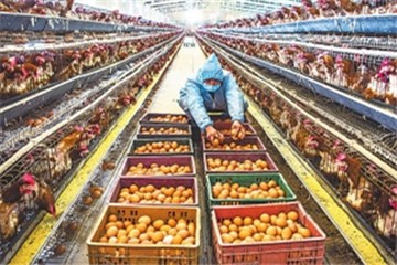 河南要求企業復工復產做到“六必須”