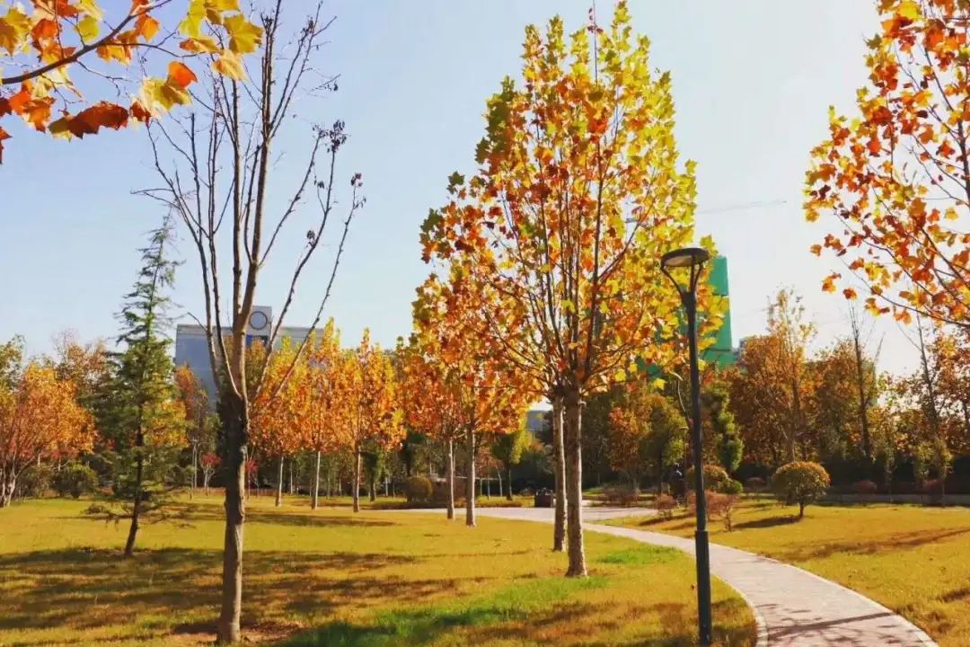 鄭州科技學院